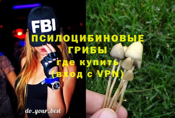 индика Алексеевка