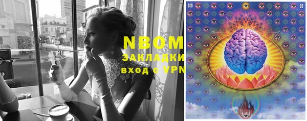 молекула духа Алзамай