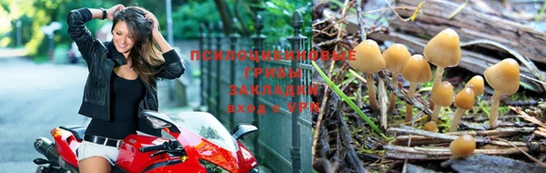 индика Алексеевка